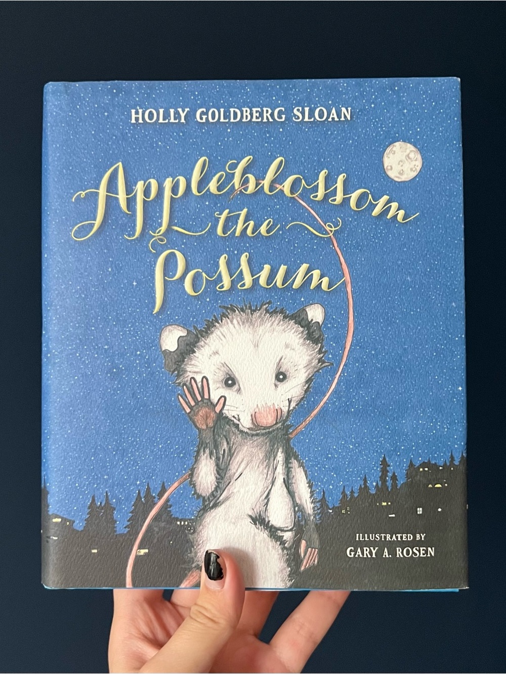 Apple blossom the Possum kid’s chapter book
